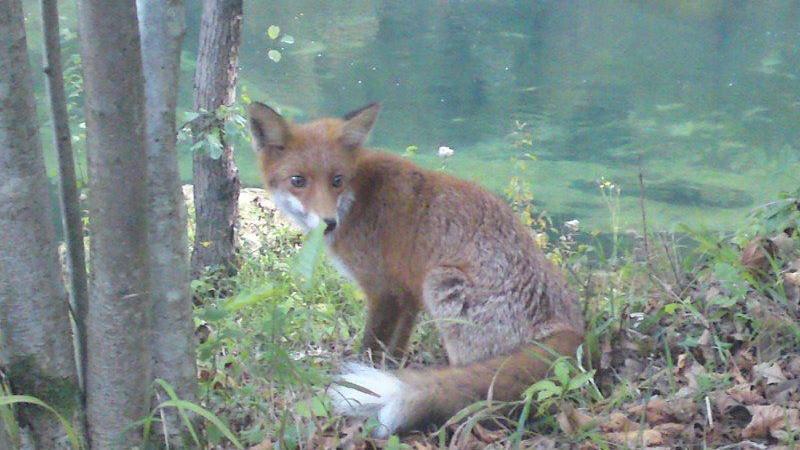 Una Canyon Paradise Bihac Luaran gambar